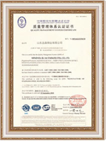 Сертификат-7
